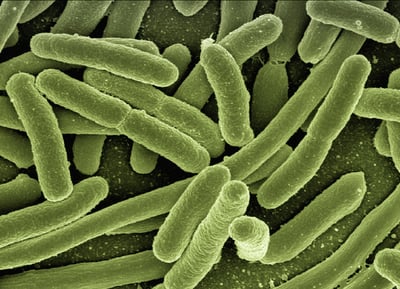 Wie kann man sein Immunsystem auf natürliche Weise stärken?