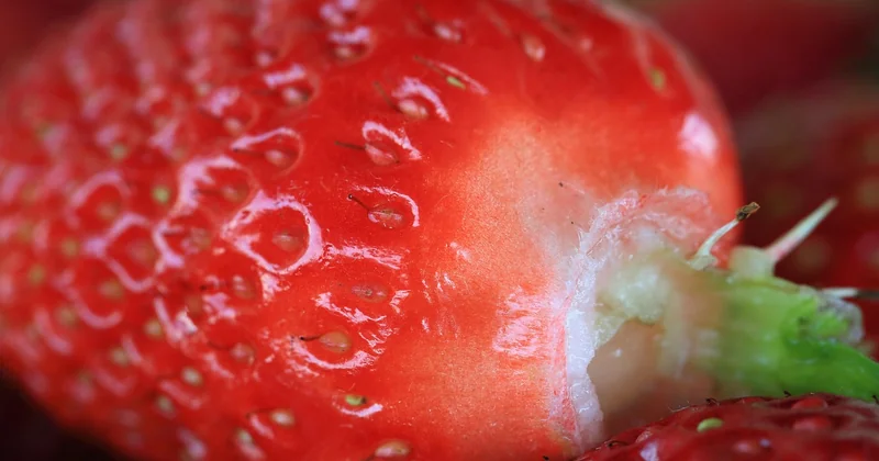 Wo ist am meisten Vitamin B2 drin?